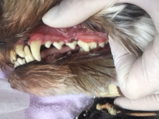 あああ あああ