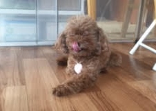 あああああ あああああ
