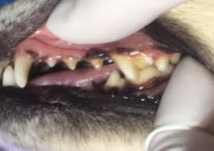 ああ ああ