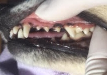 あああ あああ