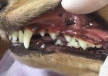 あああ あああ