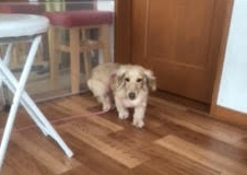 あああああ あああああ