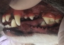 あああ あああ