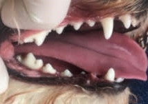 あああ あああ