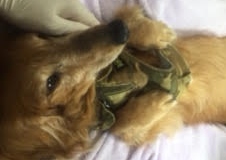 あああああ あああああ