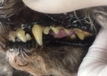 ああ ああ
