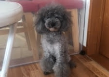 あああああ あああああ