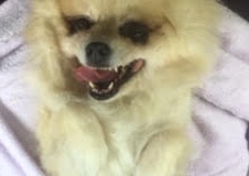 あああああ あああああ