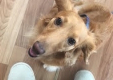 あああああ あああああ