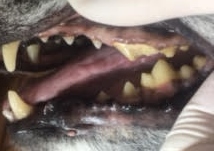 ああ ああ