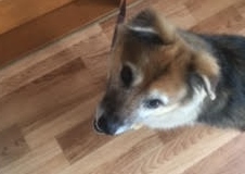あああああ あああああ