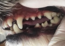あああ あああ