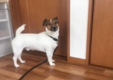 あああああ あああああ
