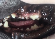 あああ あああ