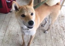 あああああ あああああ