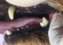 あああ あああ