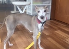あああああ あああああ