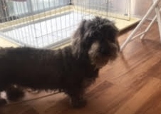 あああああ あああああ