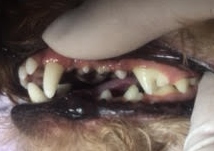 あああ あああ
