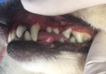 あああ あああ