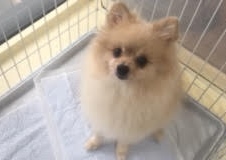 あああああ あああああ