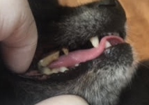 ああ ああ