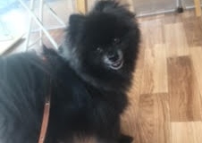 あああああ あああああ