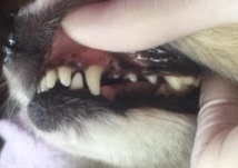 あああ あああ
