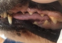 ああ ああ