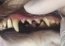 ああ ああ