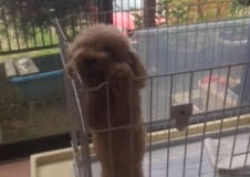 あああああ あああああ