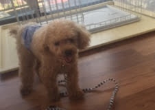 あああああ あああああ