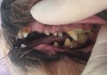 ああ ああ