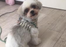 あああああ あああああ