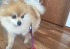 あああああ あああああ