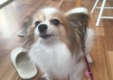 あああああ あああああ