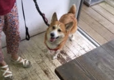 あああああ あああああ