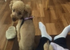 あああああ あああああ