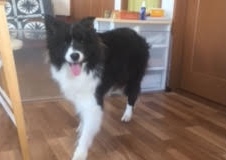 あああああ あああああ