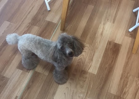 あああああ あああああ