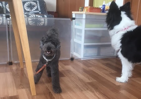 あああああ あああああ