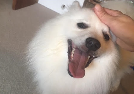 あああああ あああああ