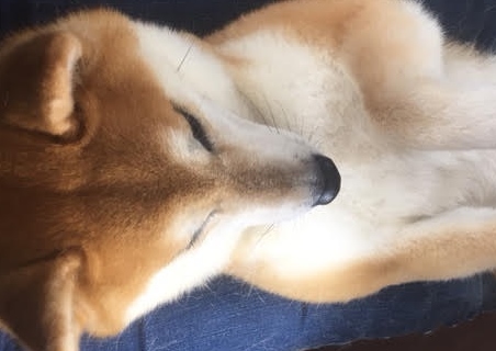 あああああ あああああ