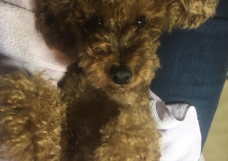 あああああ あああああ