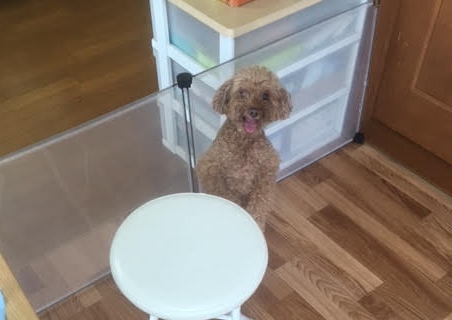 あああああ あああああ