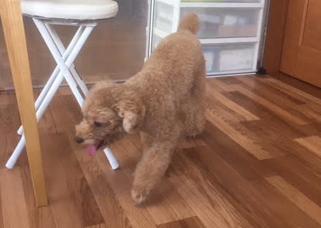 あああああ あああああ