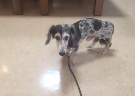 あああああ あああああ