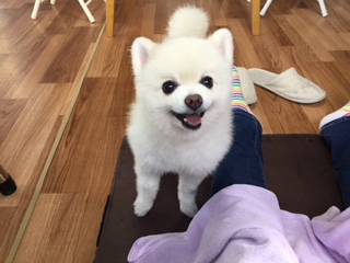あああああ あああああ
