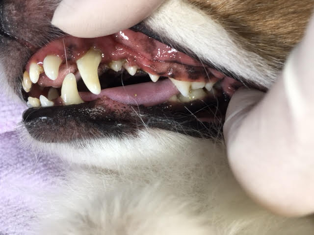 あああ あああ