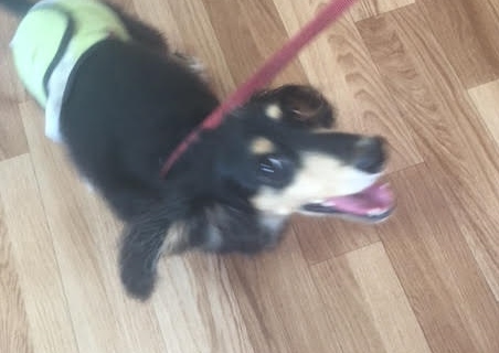 あああああ あああああ